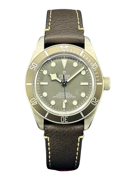 Tudor Black Bay 58 M79010SG-0001